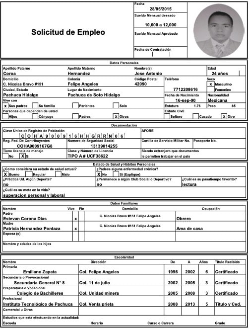 solicitud de empleo llena ejemplo